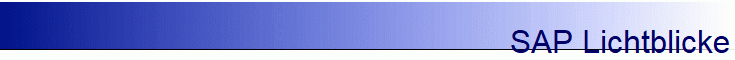 SAP Lichtblicke